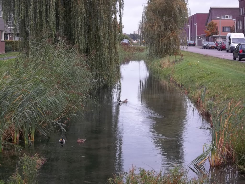 Leidsche Rijn - Utrecht by D. Derlique