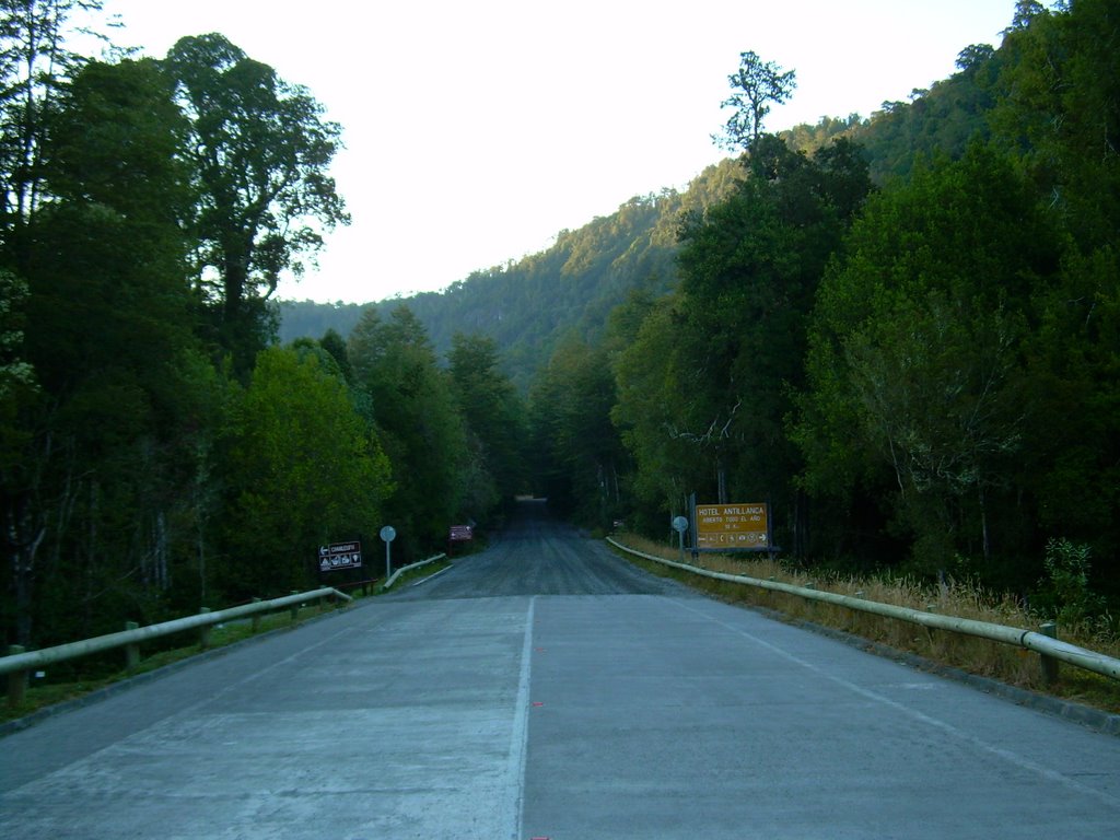 Camino a Antillanca - Aguas Calientes by Mrjoui