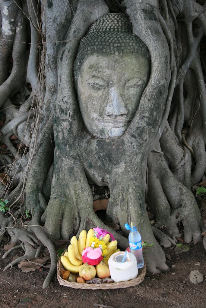 Wat Phra Mahathat, Ayutthaya, Thailand by ptolemeusz