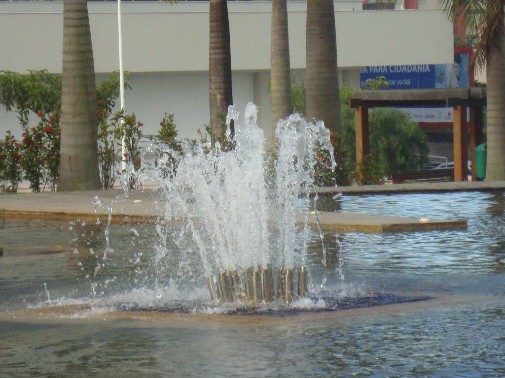 PRAÇA DA LUZ, A TARDE. (4) by Diana Kaya