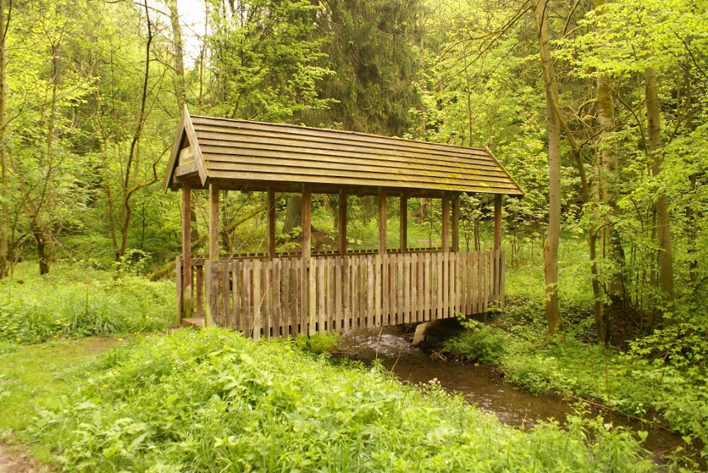 Brücke über dem Großen Andreasbach (Harz) by Altmeister