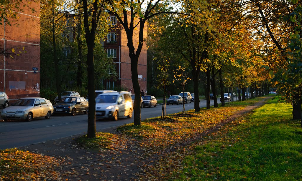 Nevsky District, St Petersburg, Russia by Gigapixel