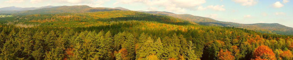 Nationalparkpanorama (etwa in der Mitte der Lusen), 3.10.2012 by Daniel Froschauer