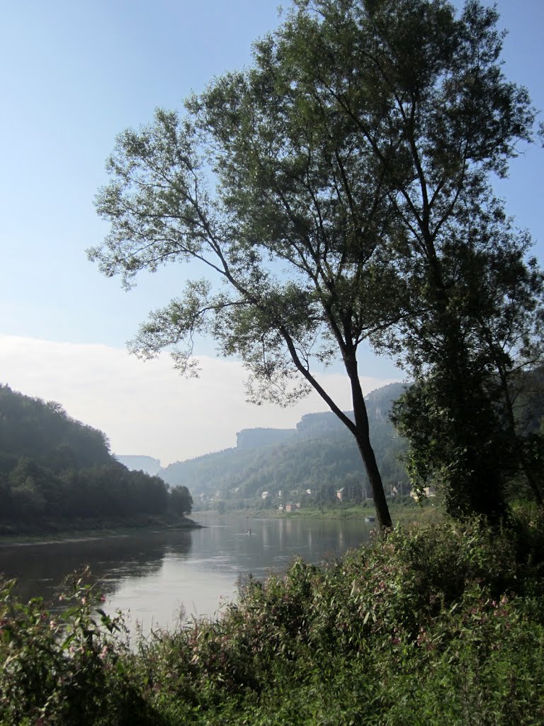 Elbe near Dolní Žleb‎, Czech Republic, just south of the German border. by Maarten Sepp