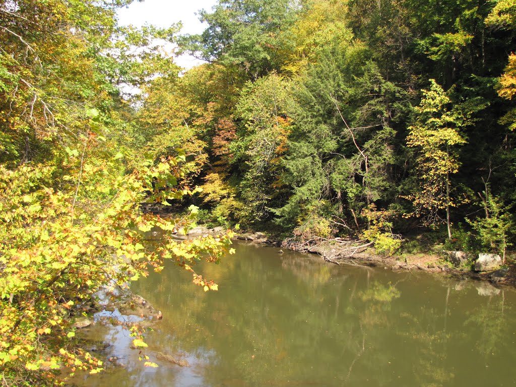 Slippery Rock Run Upstream from Eckert Bridge by Chris Sanfino