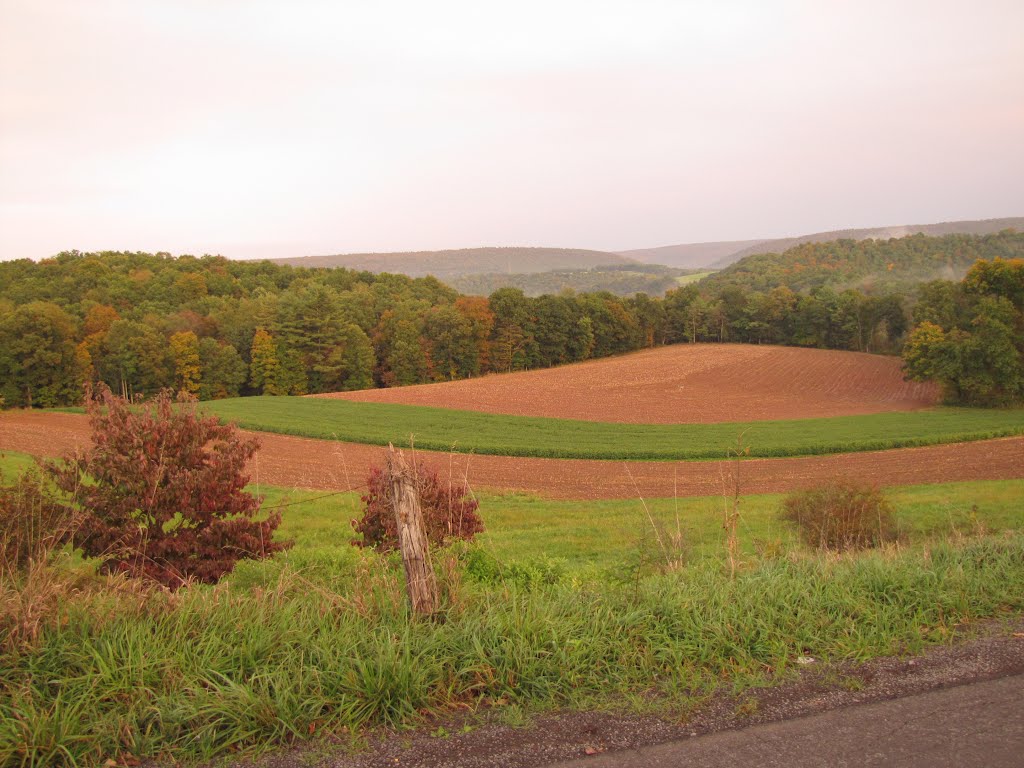 SR 2029 Field by Chris Sanfino