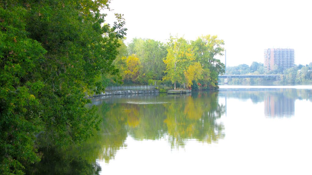 The last days of summer in Île-de-la-Visitation Nature Park. (Montréal, Québec, CANADA) by phamhoanghai