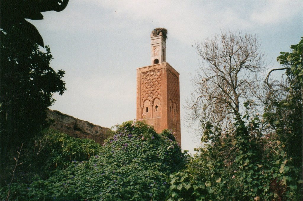 RABAT au Maroc - Nécropole du Chella by LE QUELLEC