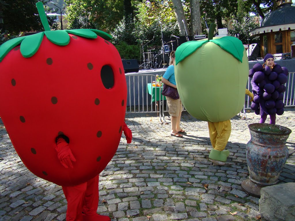 Fruit Festival, Tbilisoba 2012 by PlamenB