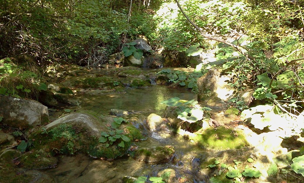 Torrente Vertola - San Giustino PG by balaramservice