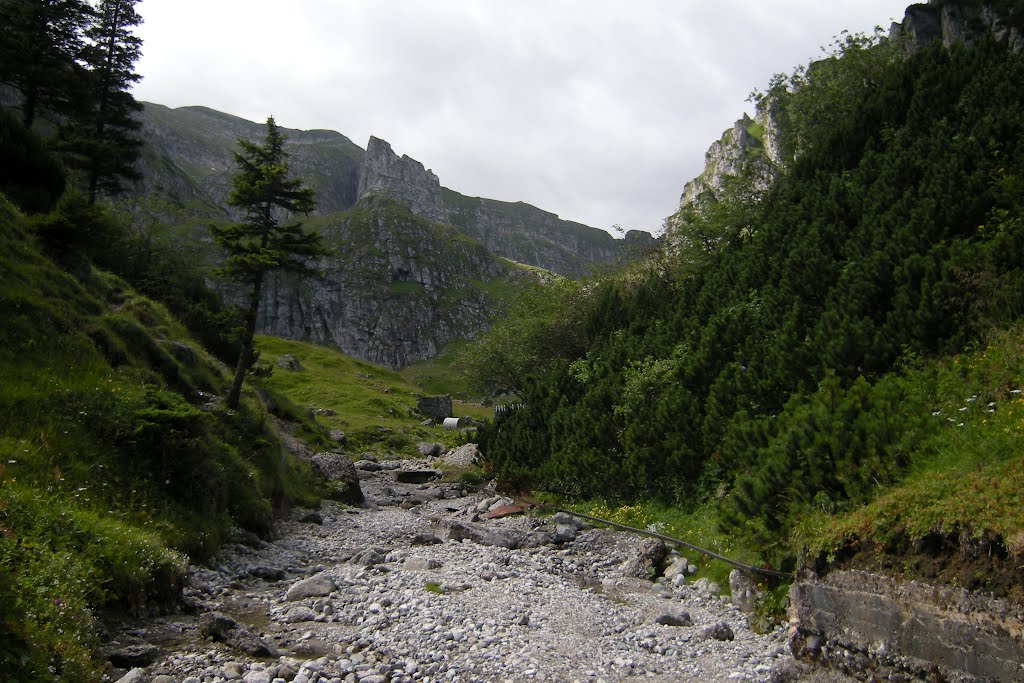 Valea Mălăiești by Alexandru Gabriel Tu…