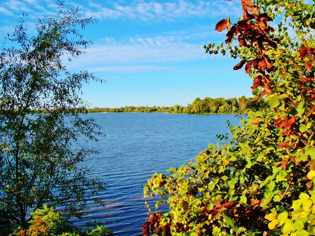 24.09.2012 16:35 Вид с высокого берега залива Доманя на водную гладь. by senisi