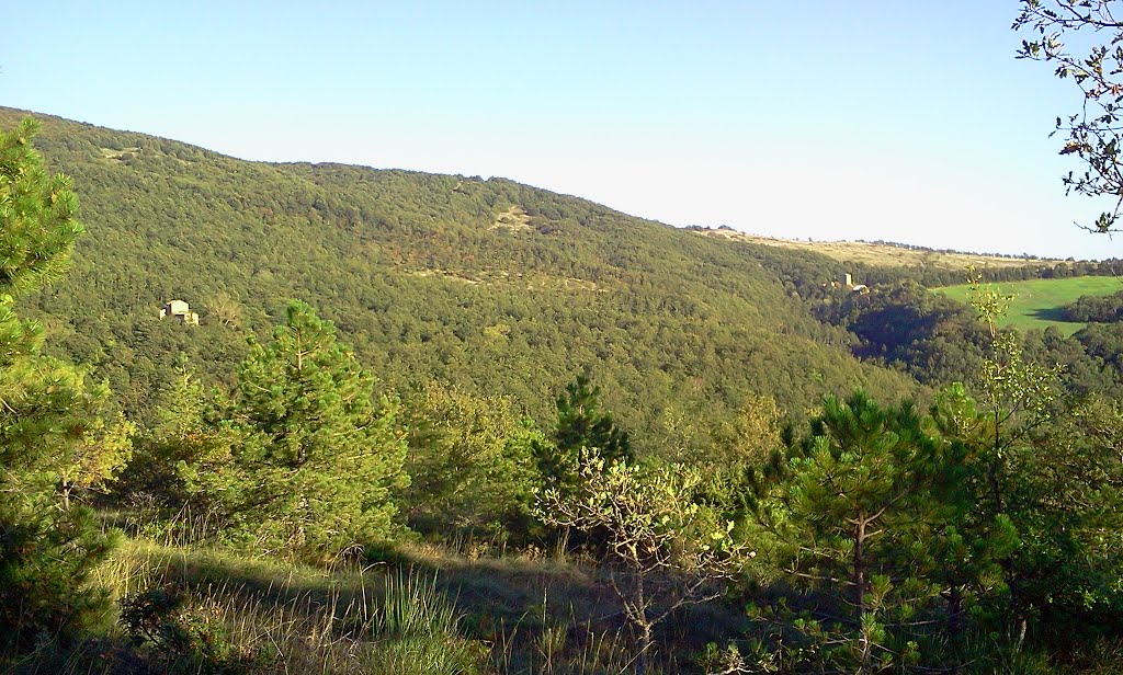 Veduta di Ca' del Borchio e l'Abbadiaccia - San Giustino PG by balaramservice