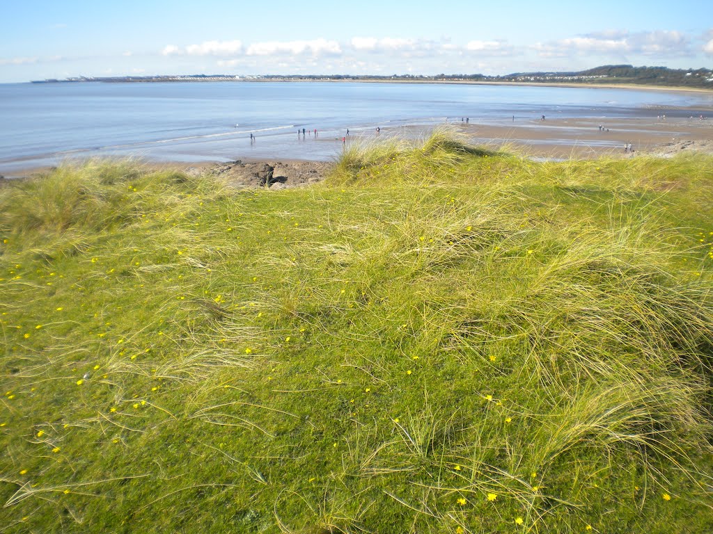 Ogmore by David Owen