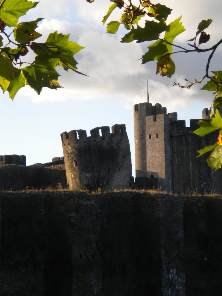 Caerphilly by David Owen