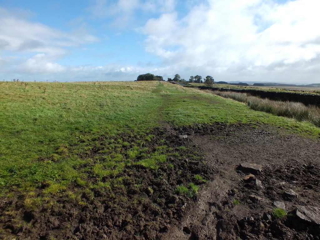 The Landscape Around Brocolitia by Ozymandias