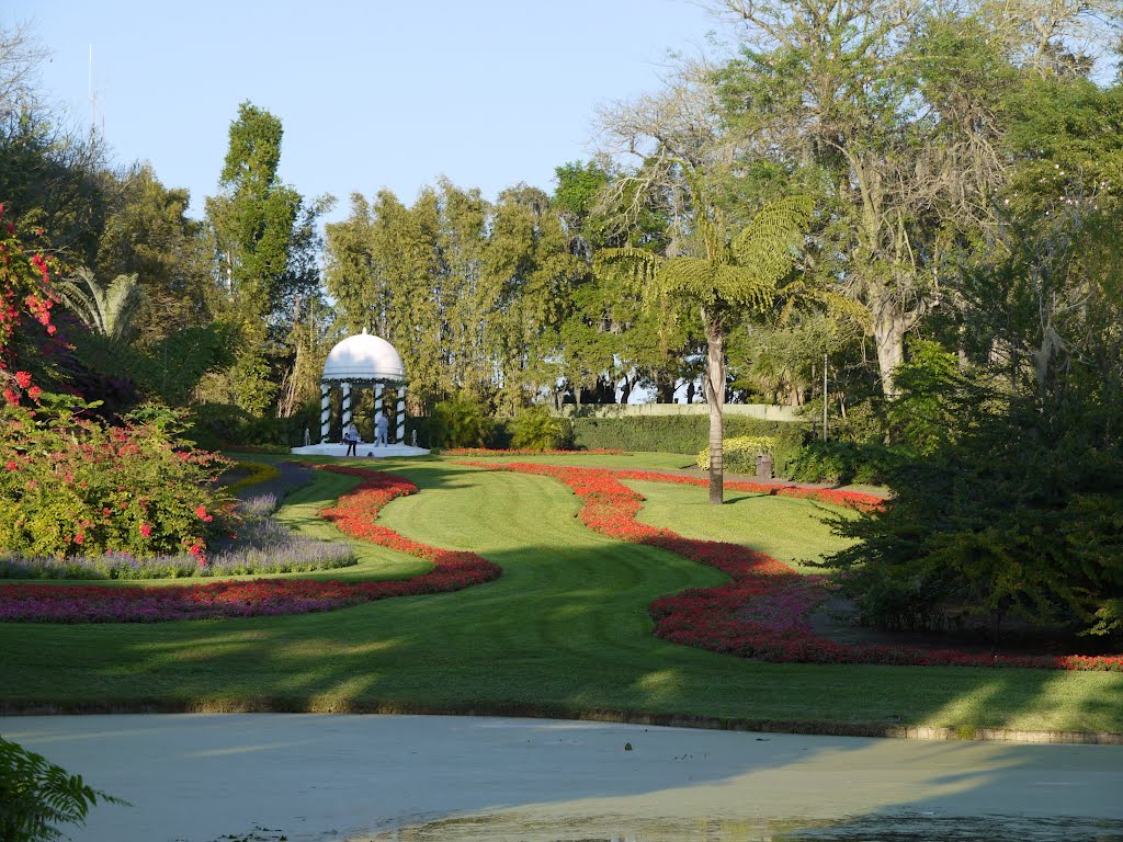 Cypress Gardens by KBC 7061