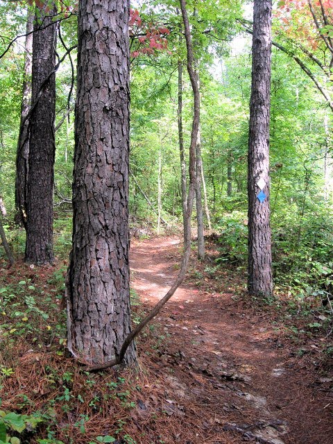 Canal Loop Trail by Woodland Trekker