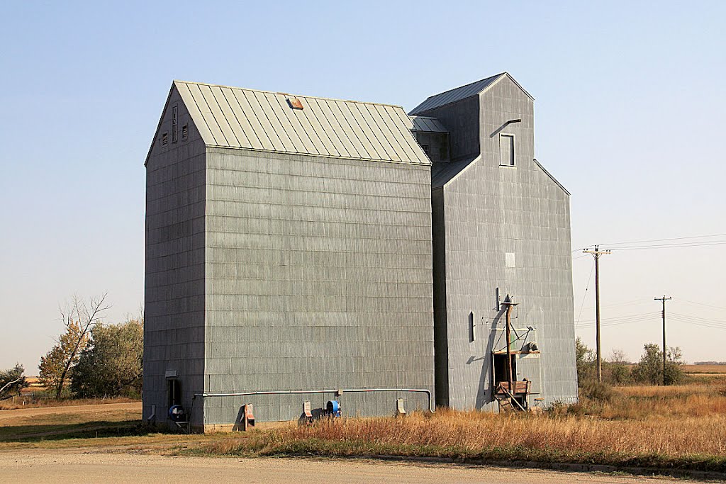 Wildrose North Dakota by dloran01