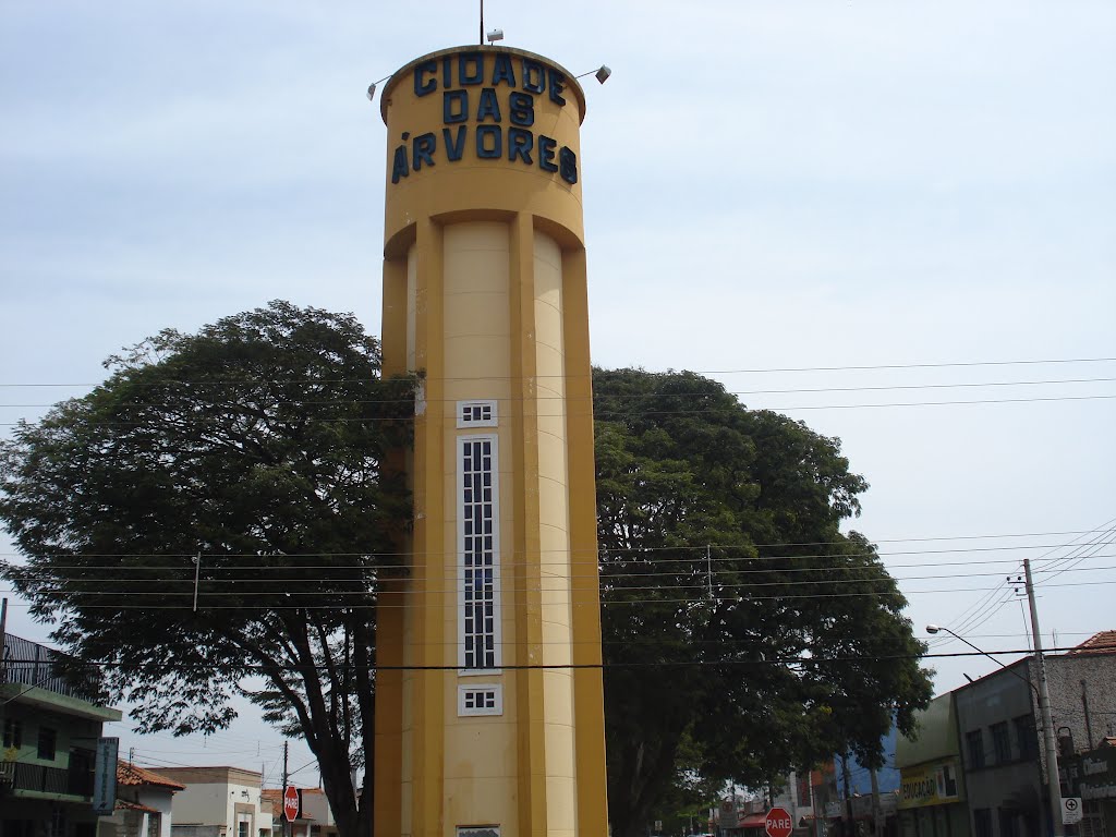 Araras - SP / Caixa dágua, bem no início da avenida Sen. Cesar L. Vergueiro, aqui olhando sentido bairro. by Edson Reis