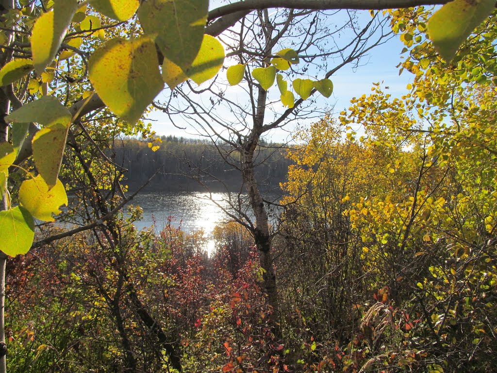 Autumn Splendour In The North Saskatchewan River Valley Along Victoria Trail Near Smoky Lake AB Oct '12 by David Cure-Hryciuk