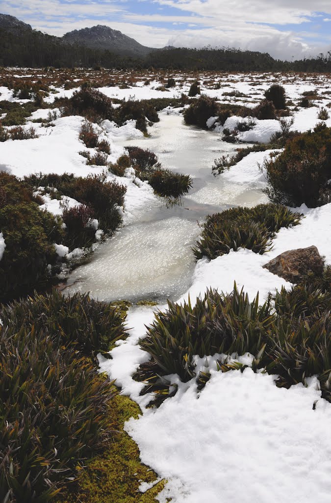 Snow and frozen stream by singing geo