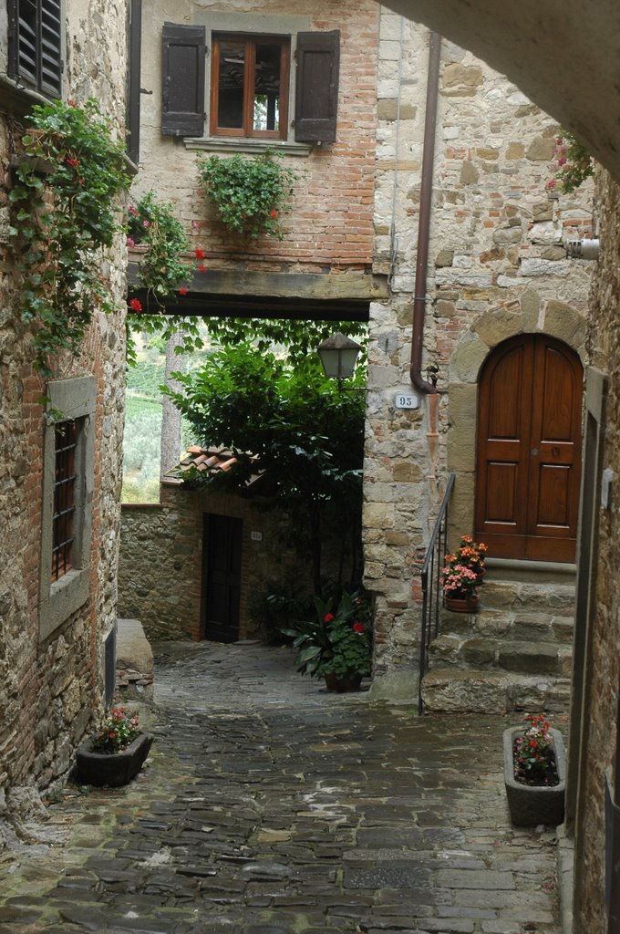 Montefioralle. Toscana by Concepcion Becerril