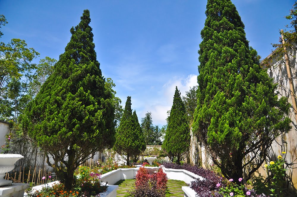 War Memorial Park by Kulanz Salleh