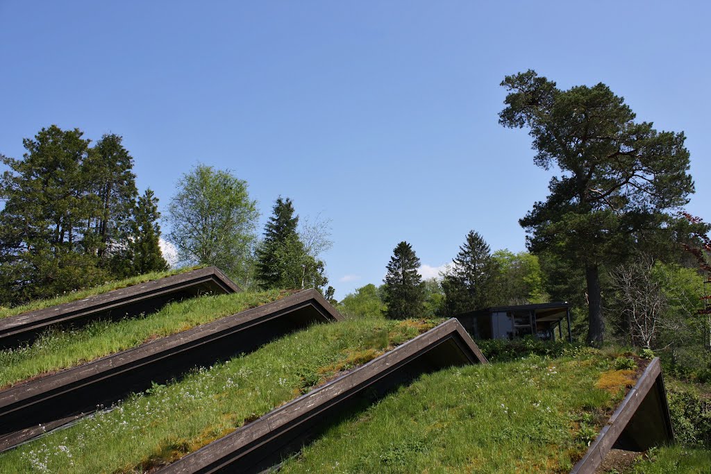 Very nice roof at Troldsalen in sunny may by Mona Lygre