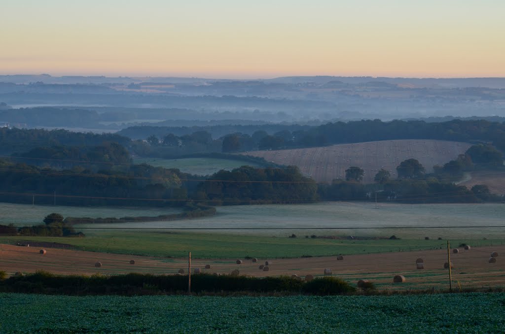 Morning Mist by Andrew N Parker