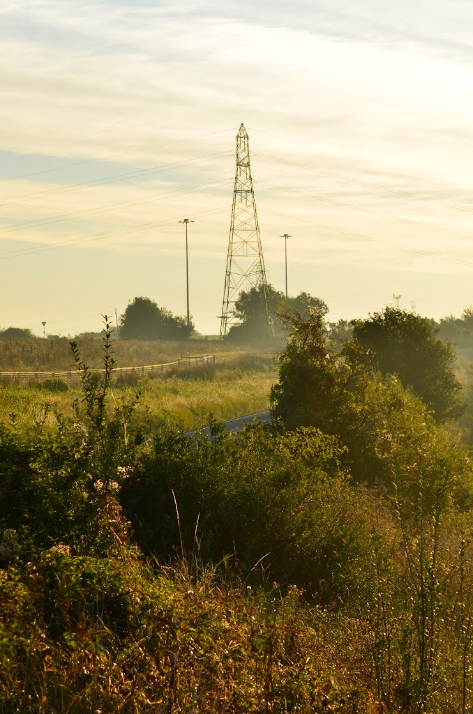 Misty Morning by Andrew Parker (Andre…