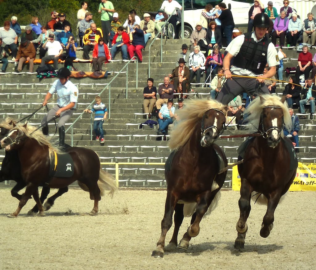 Marbach HengstParade T2012-09-26_1P 019 © http://www.fahidi.eu by Béla Fahidi