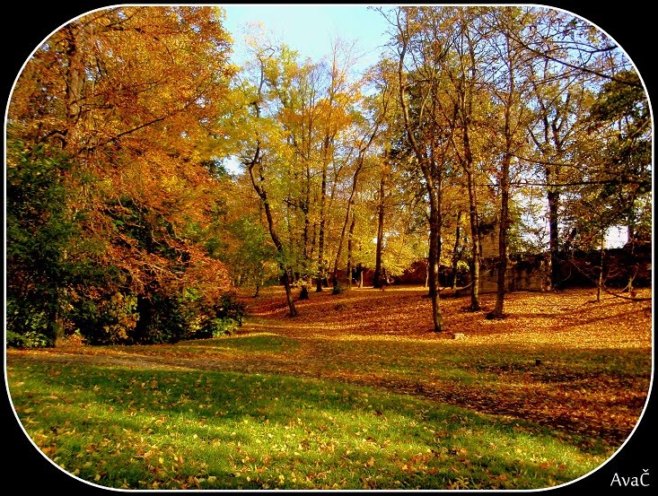 DOLNÍ POČERNICE - PARK by AvaČ