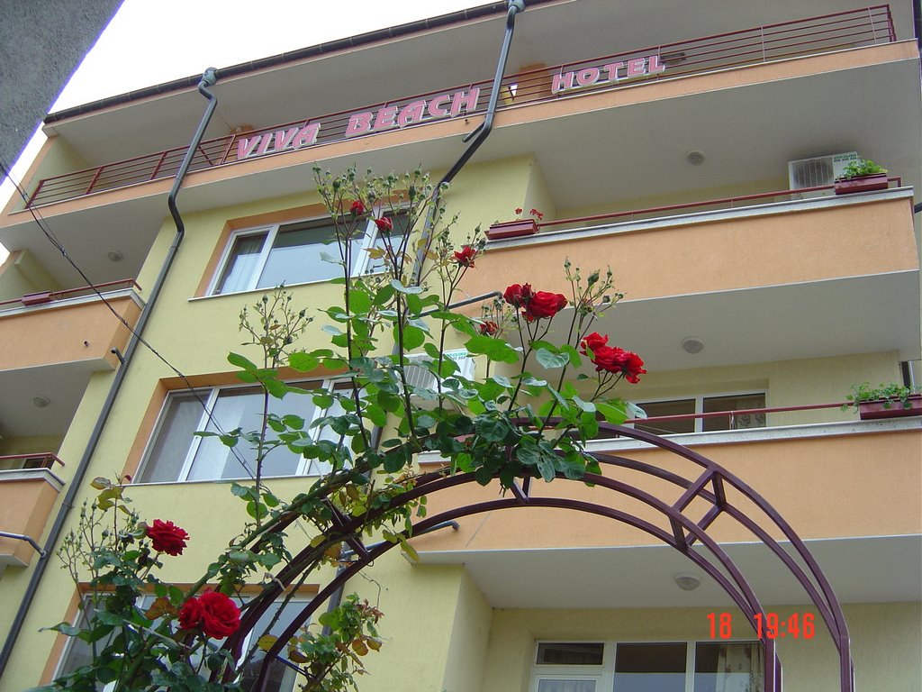 Hotel ViVa Beach by hotel ViVa Beach