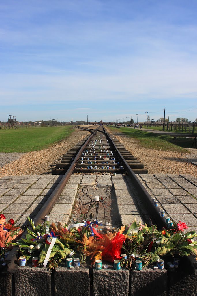 End of the train track at Birkenau by russbomb