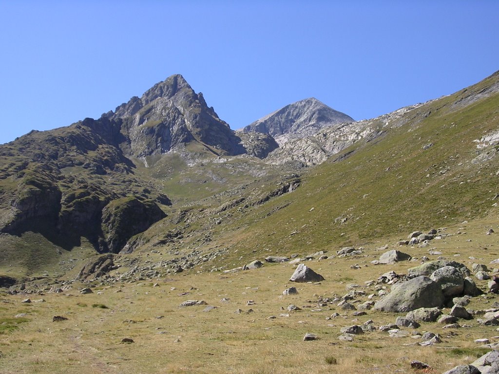 Perdigueret y Perdiguero by Pascual Asensio Sánc…