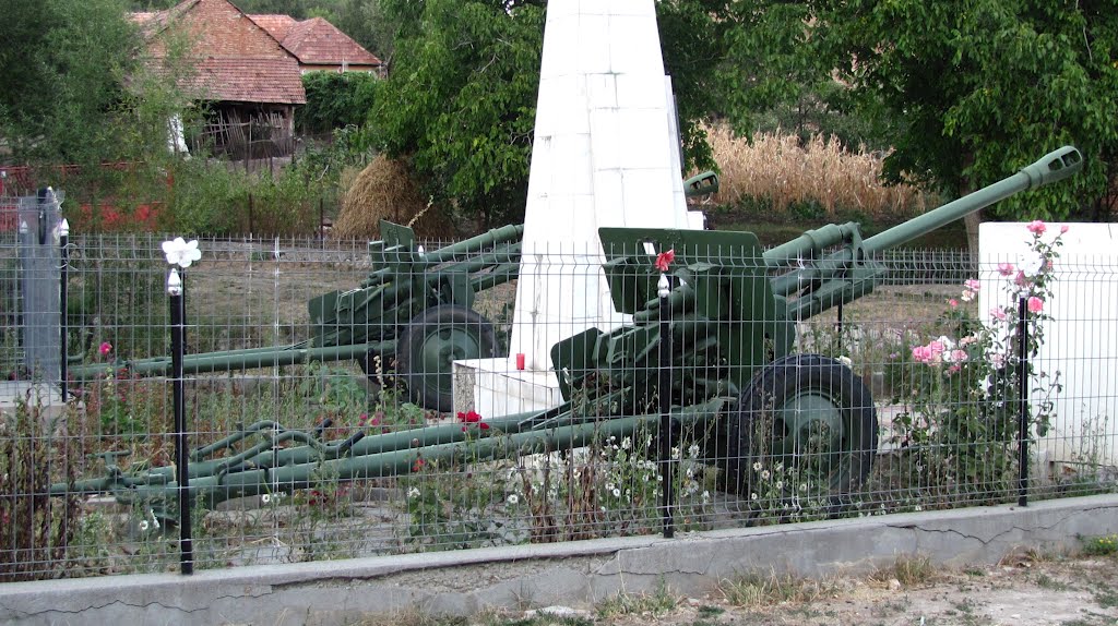 Livezile - Alba - Monument, “Inchinare Martirilor și Eroilor din Izvoarele” - detaliu - (2012.09.09) by Ana Maria Catalina