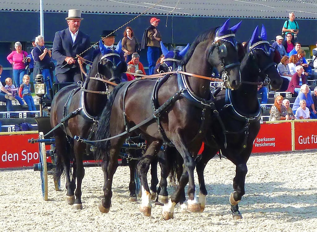 Marbach HengstParade T2012-09-26_1P 089 © http://www.fahidi.eu by Béla Fahidi