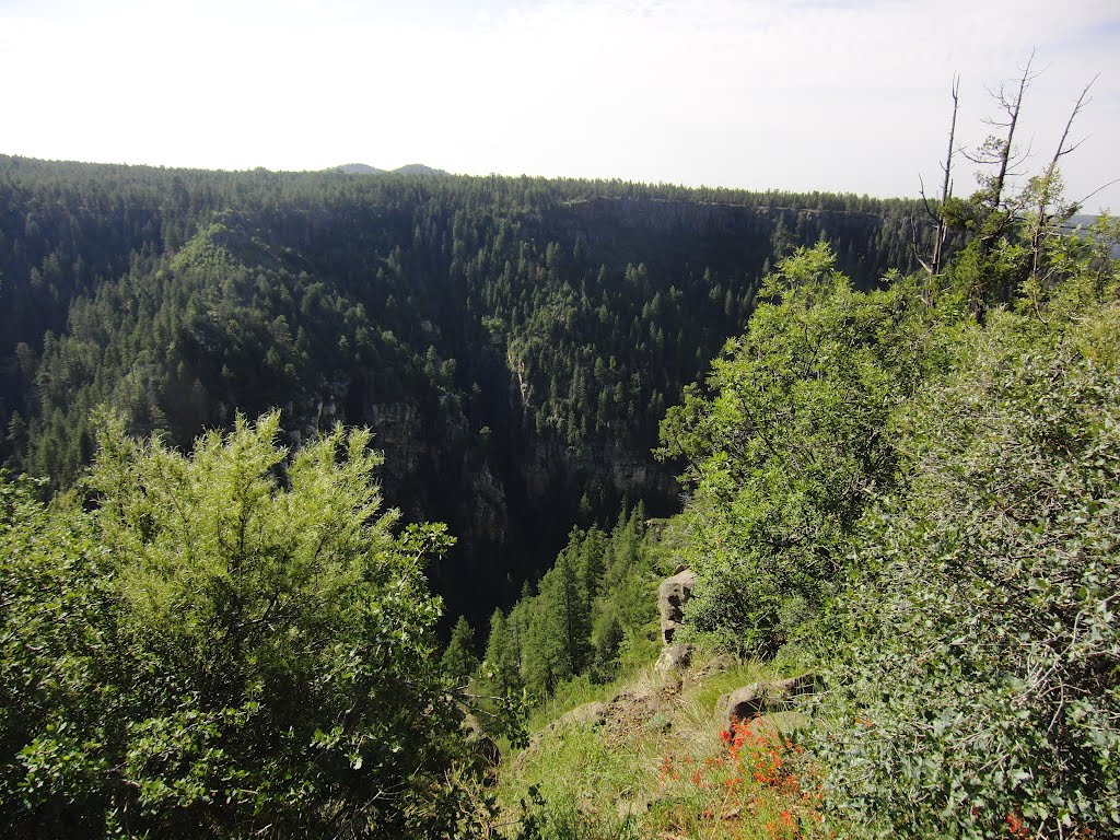 Coconino County, AZ, USA by mdrengapga