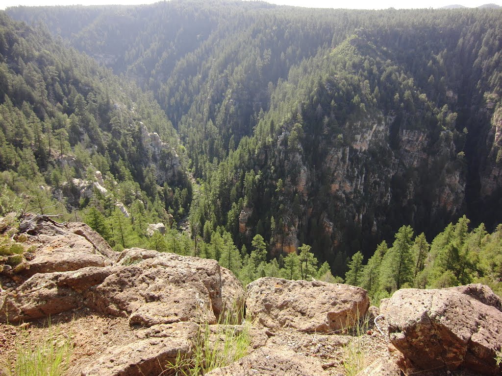 Coconino County, AZ, USA by mdrengapga