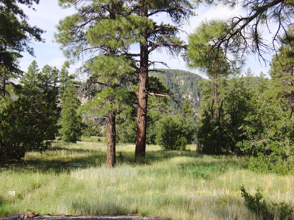 Coconino County, AZ, USA by mdrengapga