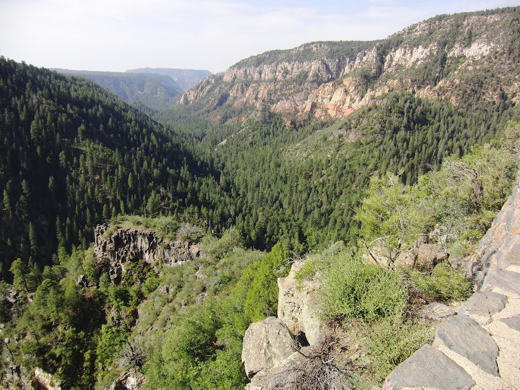 Coconino County, AZ, USA by mdrengapga