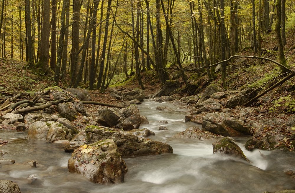 Höllbach by J. Gschwender