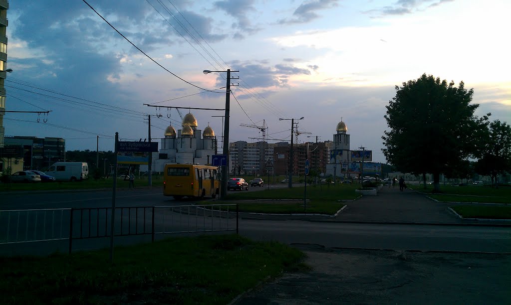 Chervonoi Kalyny avenue / Třída Červených květin by DM brothers