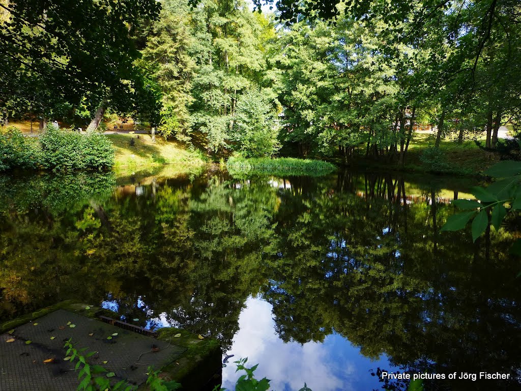 Teich im Christianental by Jörg Fischer