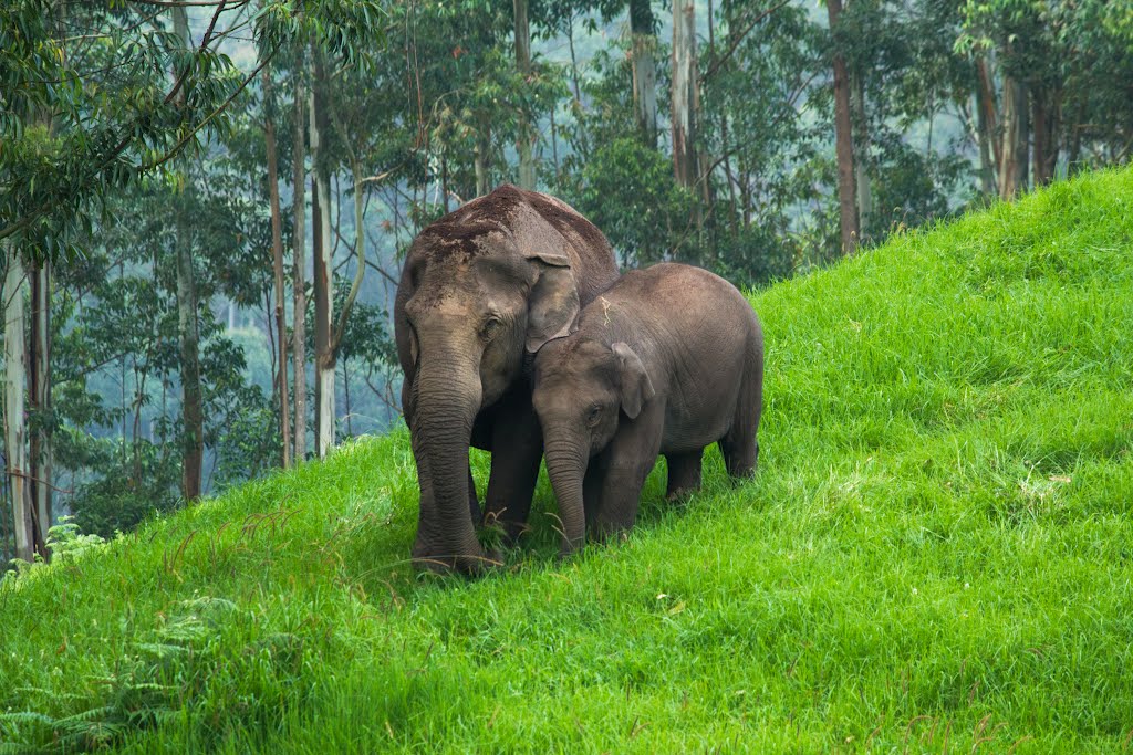 With mom by Jeen Raj