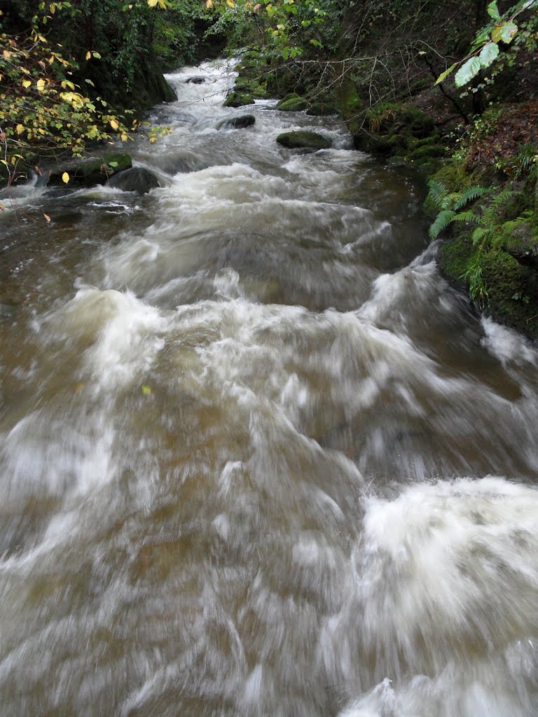 Stockghyll, after heavy rain, near Ambleside by SinglePointSafety