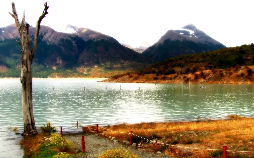 Lago Argentino - Parque Los Glaciares, Argentina by Gui Torres