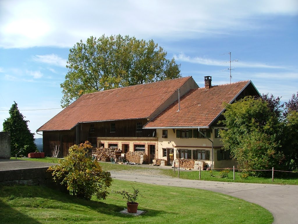 Haus mit Denkmalschutz by Richard Mayer