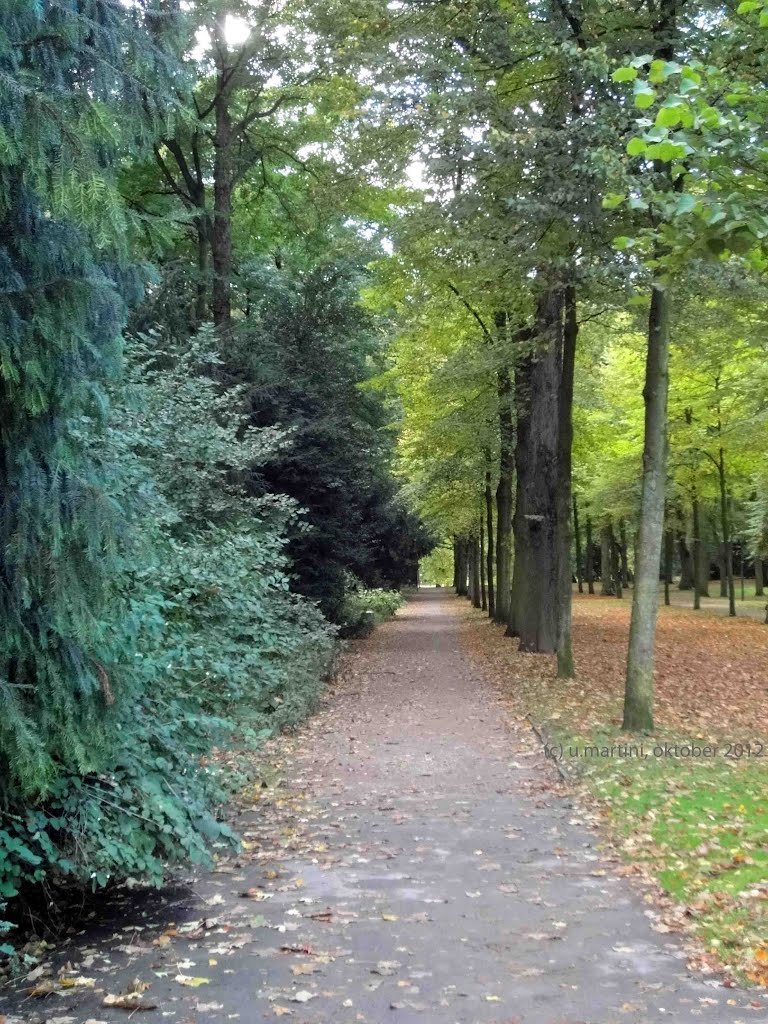 Hofgarten, Düsseldorf by Ulrich Martini